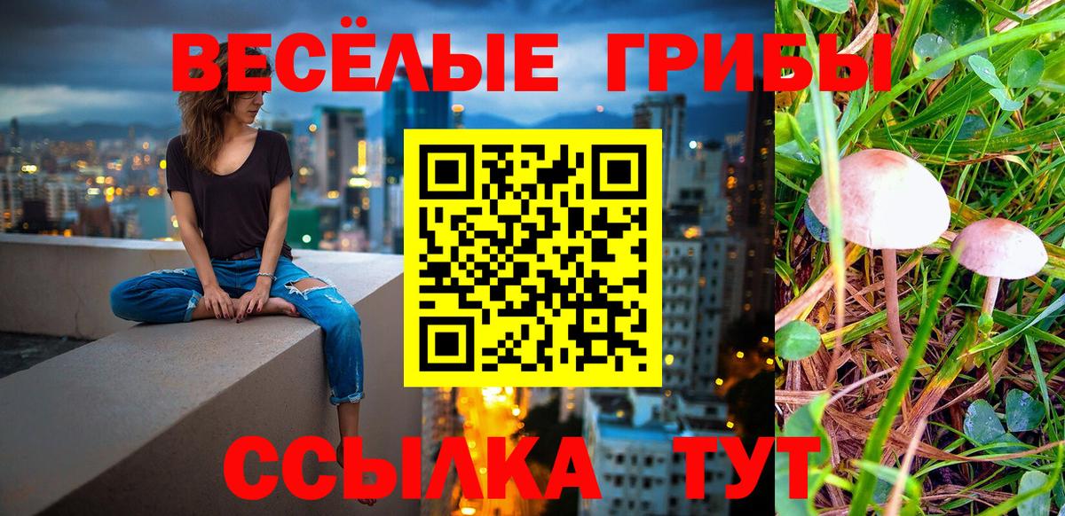 Новокубанск  Псилоцибиновые грибы Magic Shrooms  Вход с VPN 