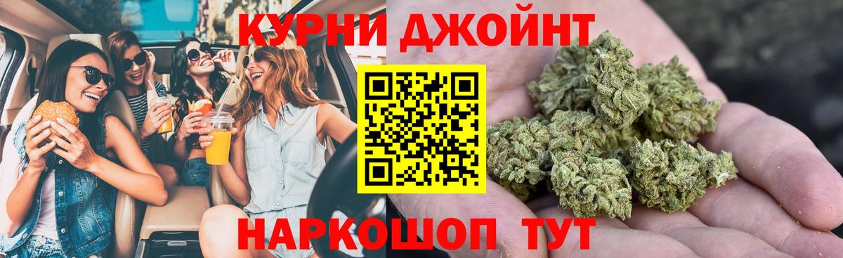 Конопля SATIVA & INDICA Новокубанск